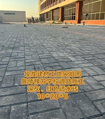 偃師豫蘇學校道路施工 深灰、紅色透水磚 10*20*6