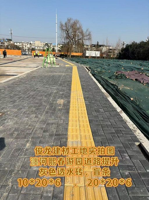 瀍河熙春游園道路提升 （灰色透水磚、盲條）
